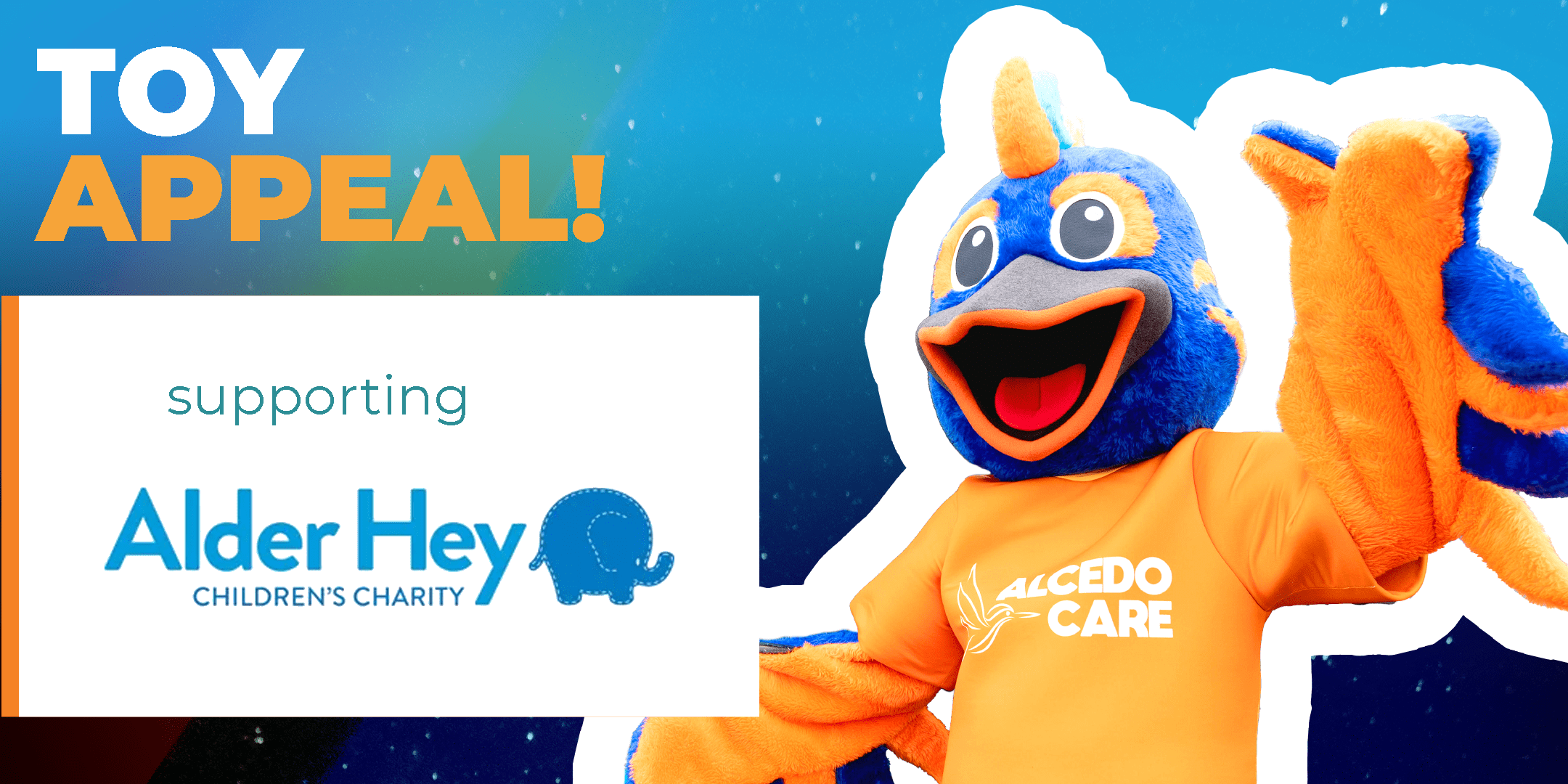 Alder Hey Toy Appeal