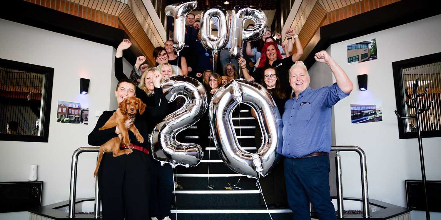 Alcedo Care Group Secures Historic Sixth Consecutive Award Win